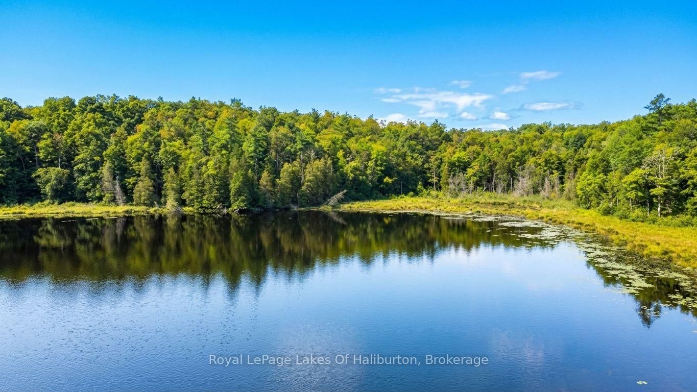 9842 Highway 35 • Minden Hills, ON photo 9