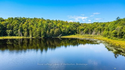 9842 Highway 35 • Minden Hills, ON photo 9