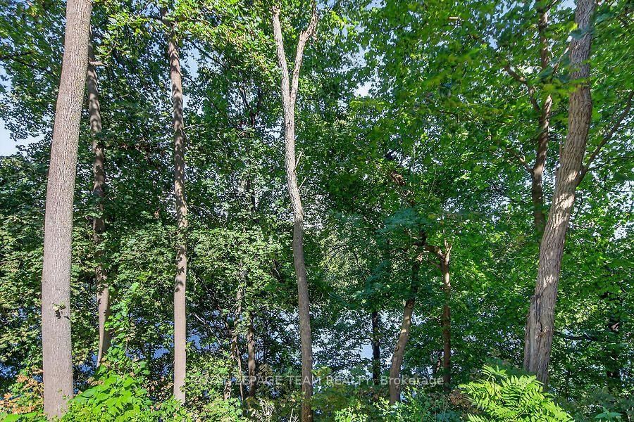 131 Wurtemburg Street • #701 • Ottawa, ON photo 43