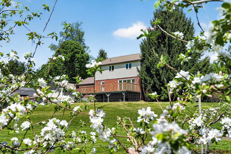 223 TURK Road