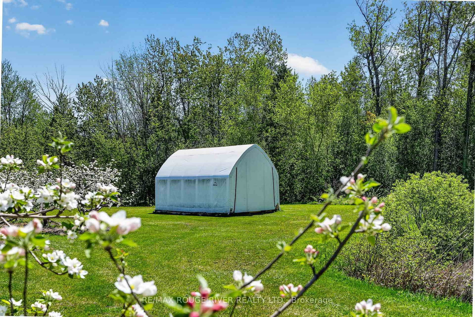 223 TURK Road • Alnwick/Haldimand, ON photo 31