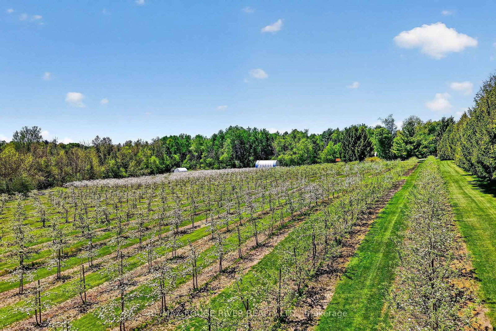 223 TURK Road • Alnwick/Haldimand, ON photo 36