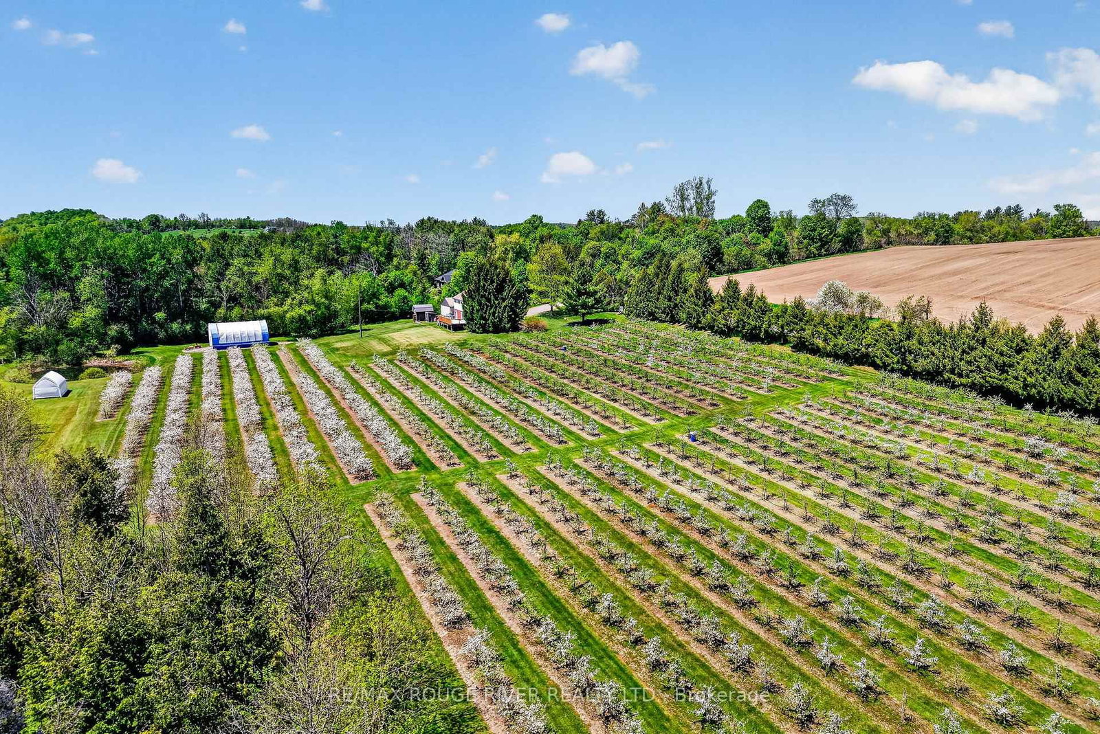 223 TURK Road • Alnwick/Haldimand, ON photo 37