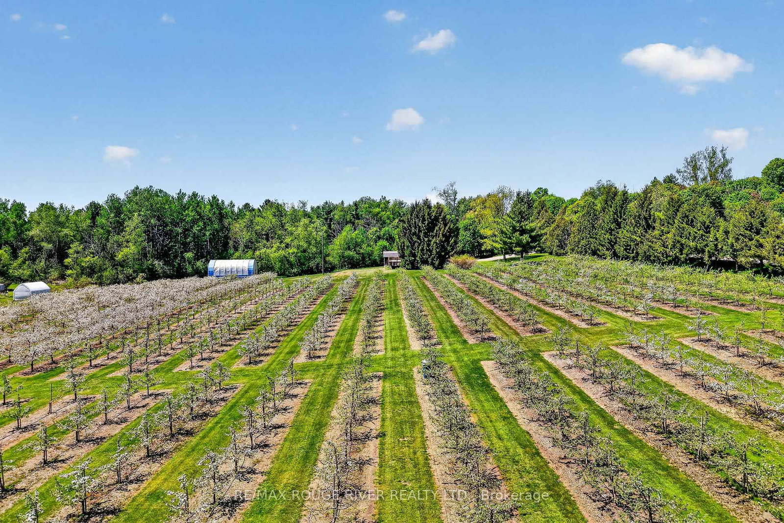 223 TURK Road • Alnwick/Haldimand, ON photo 40