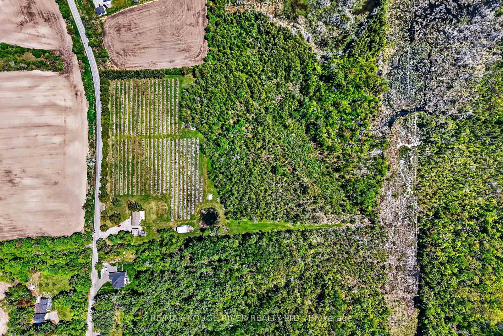223 TURK Road • Alnwick/Haldimand, ON photo 41