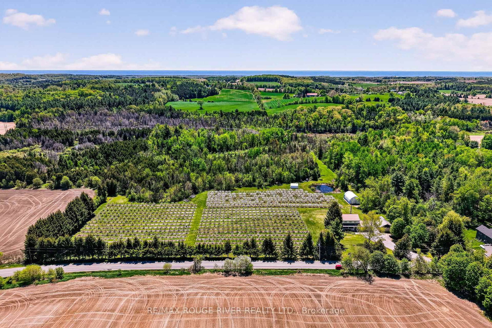 223 TURK Road • Alnwick/Haldimand, ON photo 44