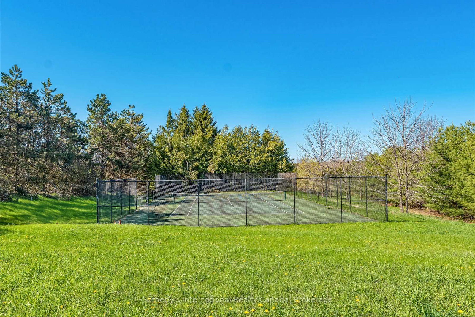 717218 1st Line E EHS • Mulmur, ON photo 40