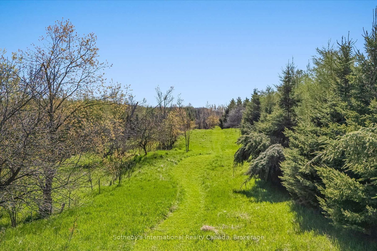 717218 1st Line E EHS • Mulmur, ON photo 45