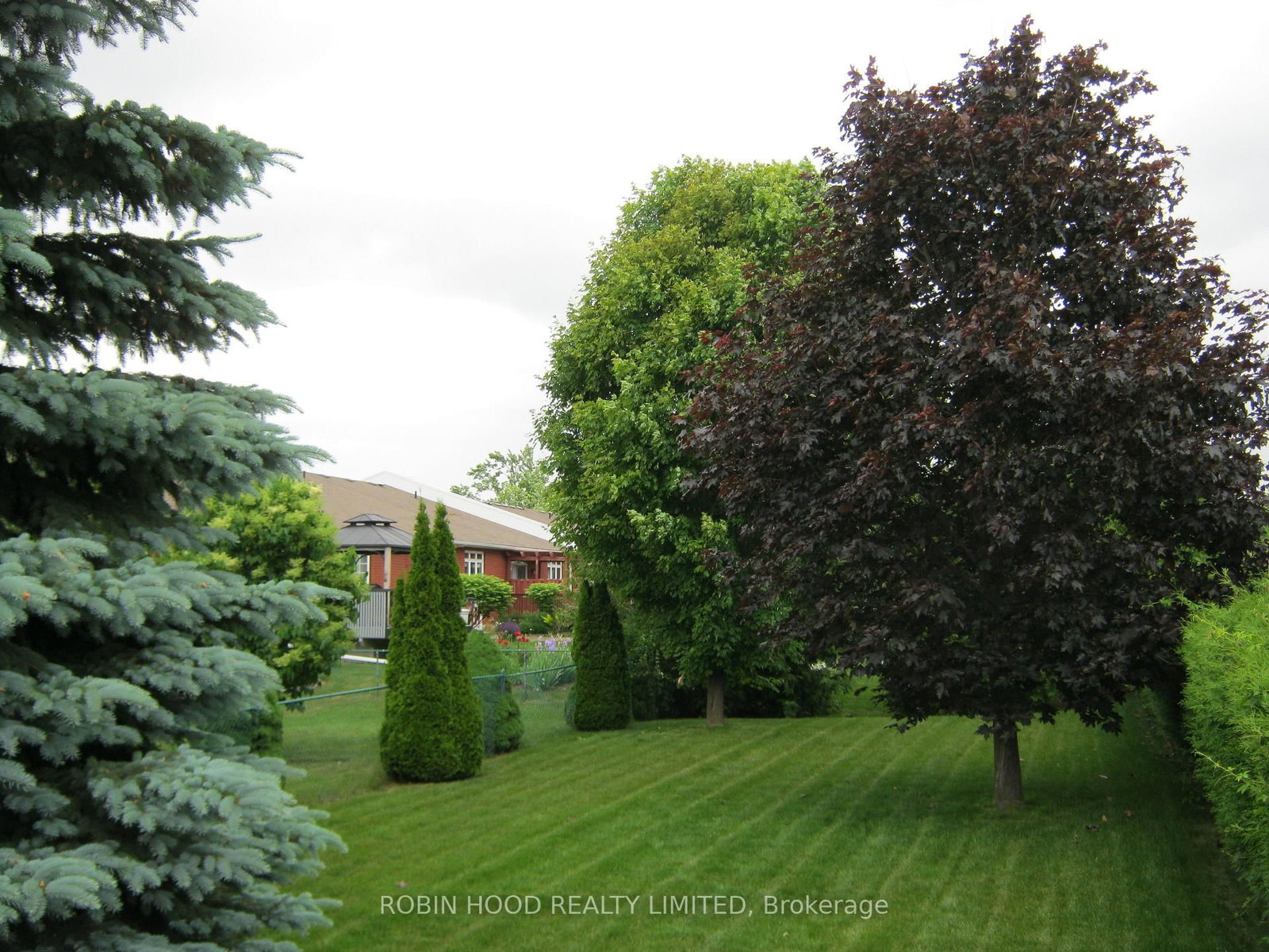 40 Dormer Road • Kawartha Lakes, ON photo 24