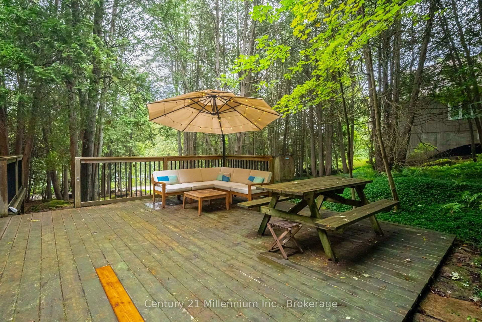 38 West Shore Road • Northern Bruce Peninsula, ON photo 36