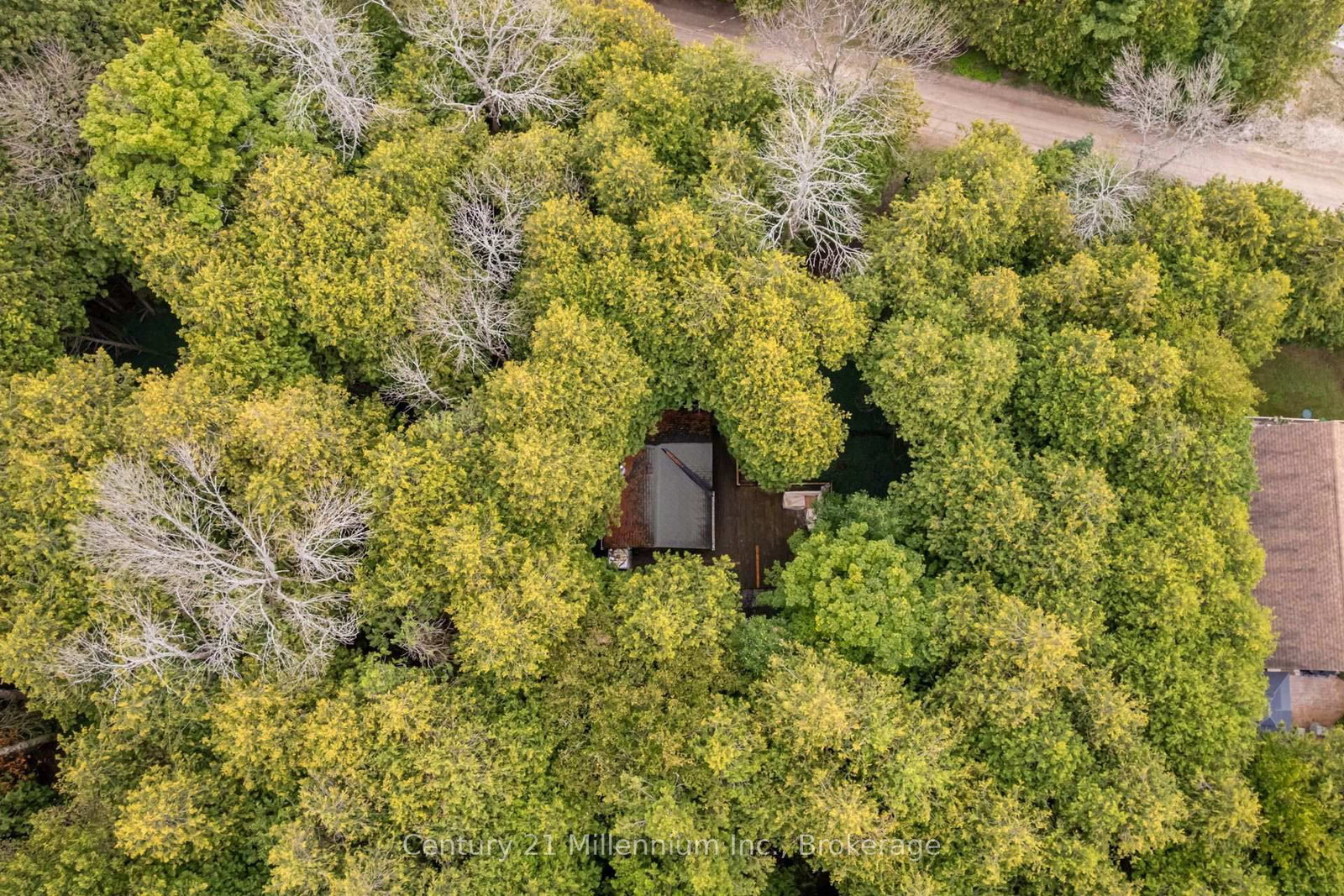 38 West Shore Road • Northern Bruce Peninsula, ON photo 45