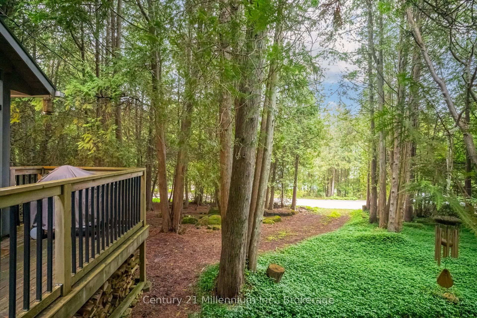 38 West Shore Road • Northern Bruce Peninsula, ON photo 8
