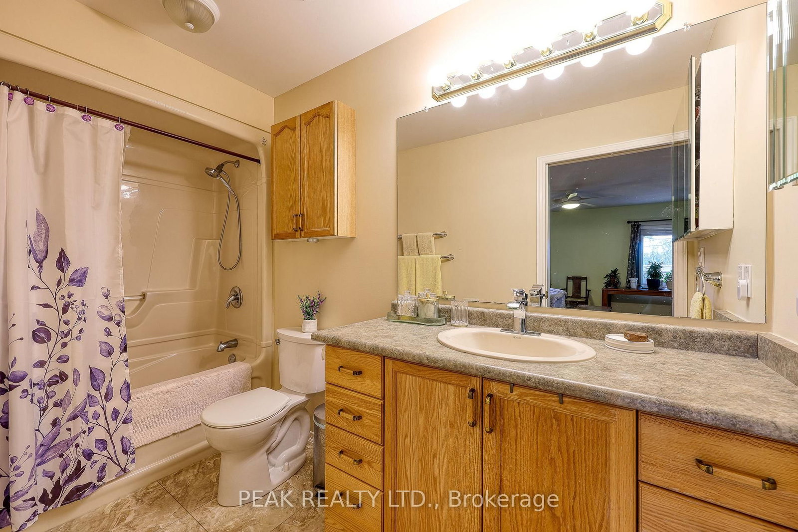 217 North Street E • Tillsonburg, ON photo 24
