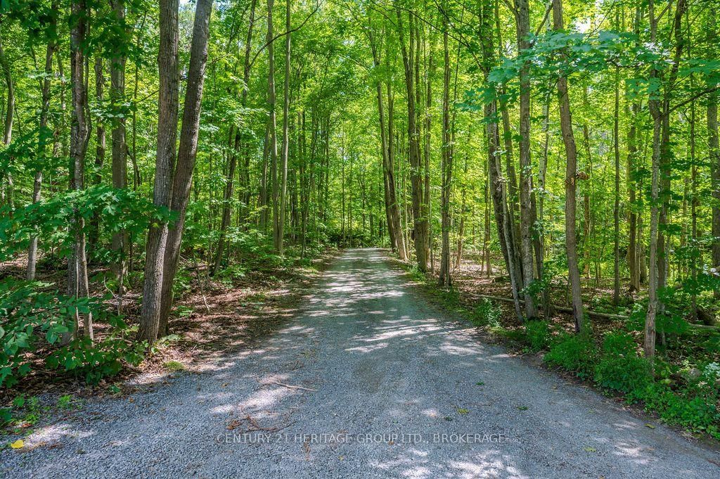 1127 Perry Lane • Sydenham, ON photo 25