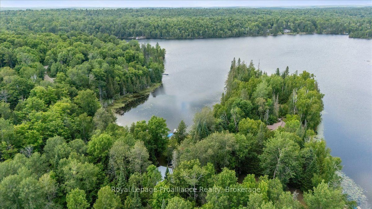 17 Halcomb Lane • Coe Hill, ON photo 4