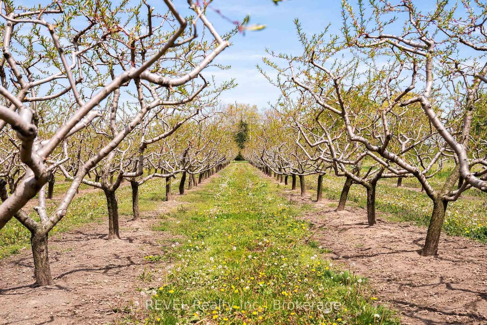 160 Read Road • St. Catharines, ON photo 3