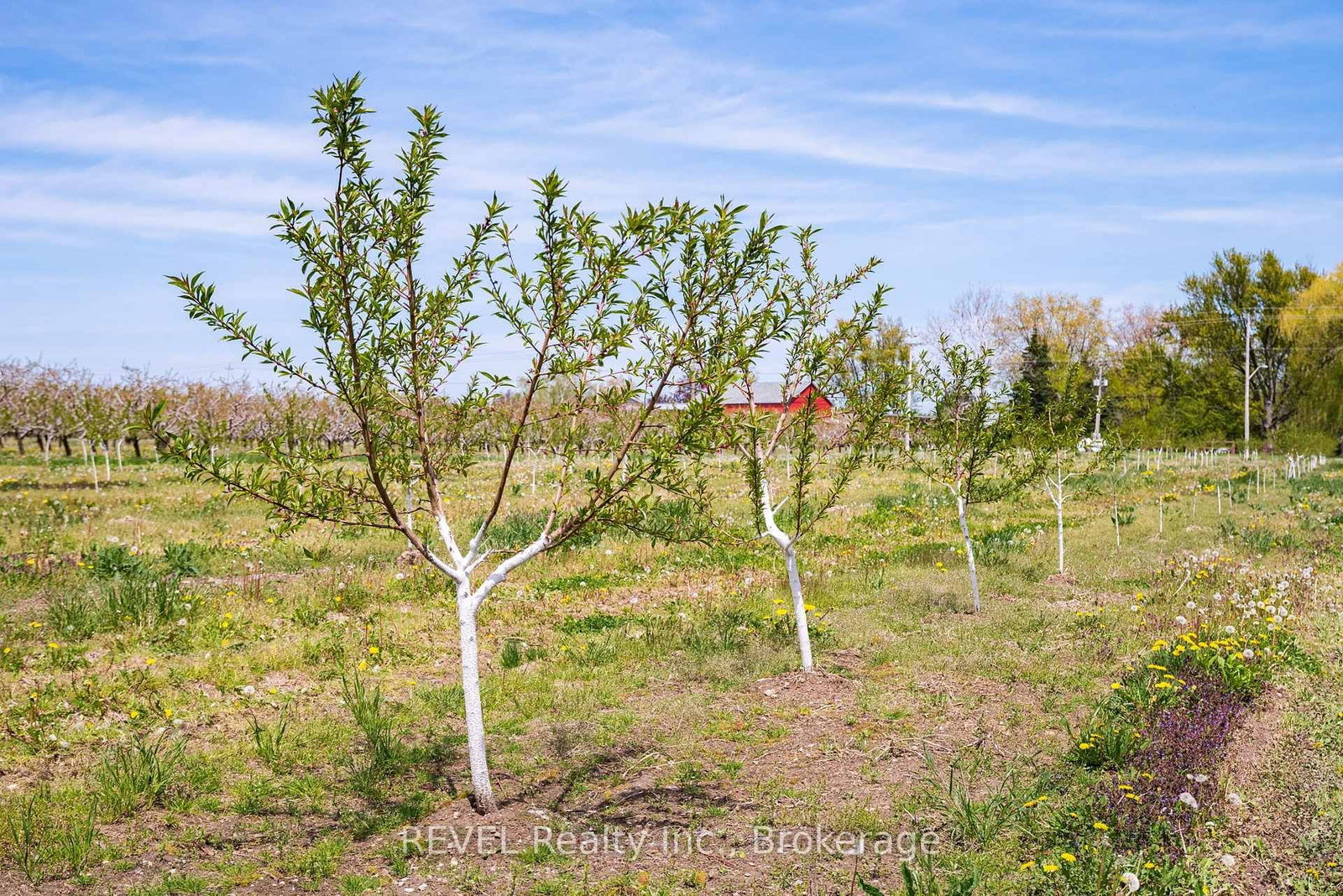 160 Read Road • St. Catharines, ON photo 4