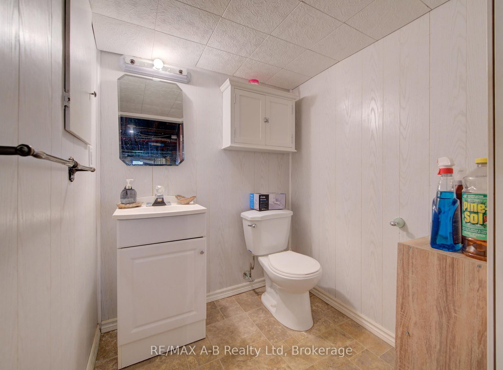 31 John Street • East Zorra-Tavistock, ON photo 31