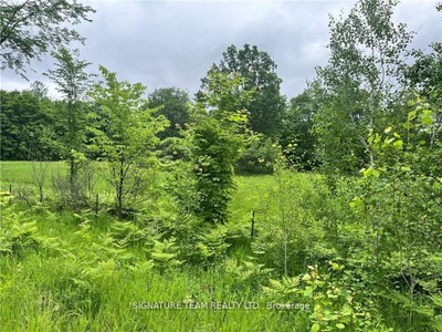 0 Grant Settlement Road • Foresters Falls, ON photo 4