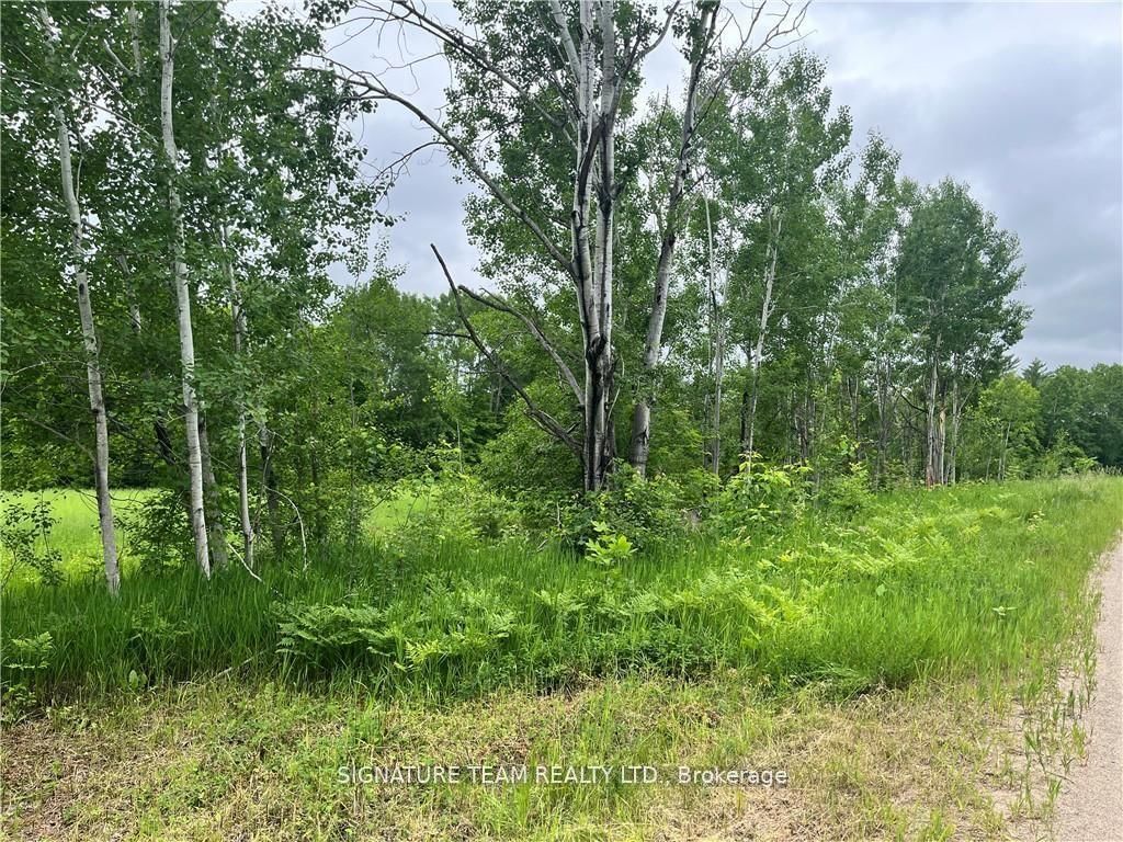 0 Grant Settlement Road • Foresters Falls, ON photo 5