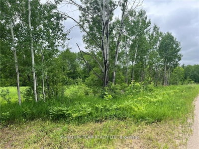 0 Grant Settlement Road • Foresters Falls, ON photo 5