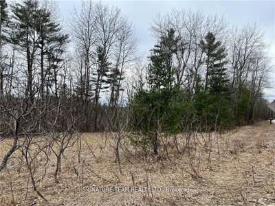 0 Grant Settlement Road • Foresters Falls, ON photo 8