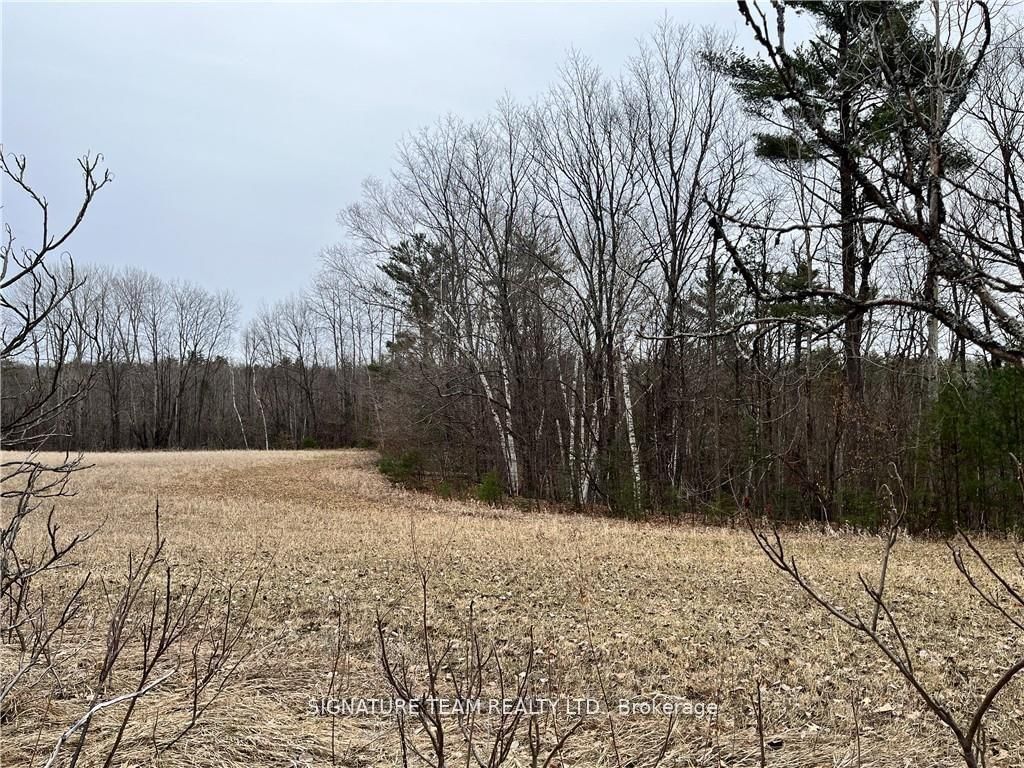 0 Grant Settlement Road • Foresters Falls, ON photo 9