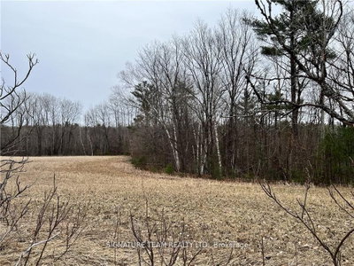 0 Grant Settlement Road • Foresters Falls, ON photo 9