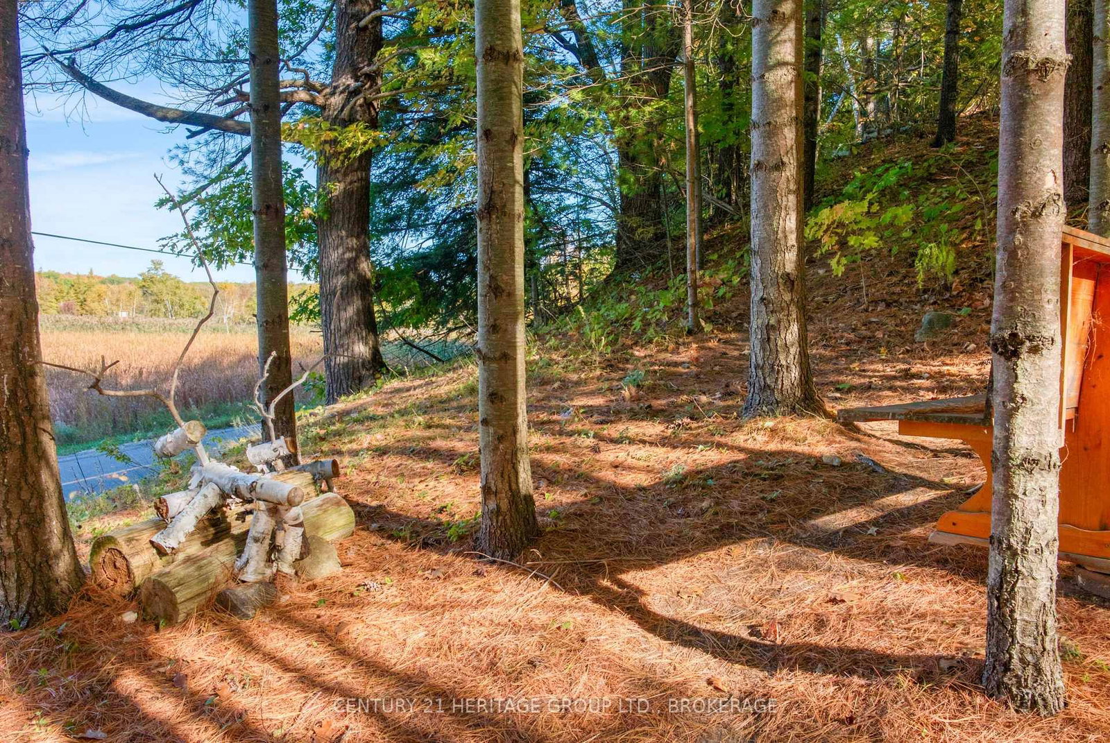 10874 Canoe Lake Road • Tichborne, ON photo 13