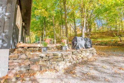 10874 Canoe Lake Road • Tichborne, ON photo 5