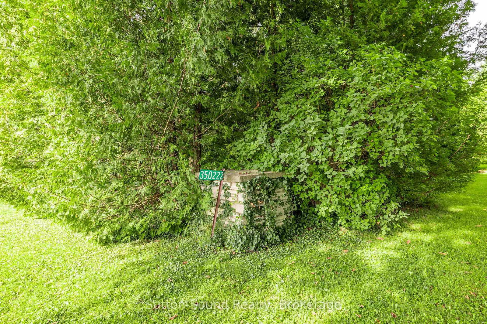 350222 Bayshore Road • Meaford, ON photo 19