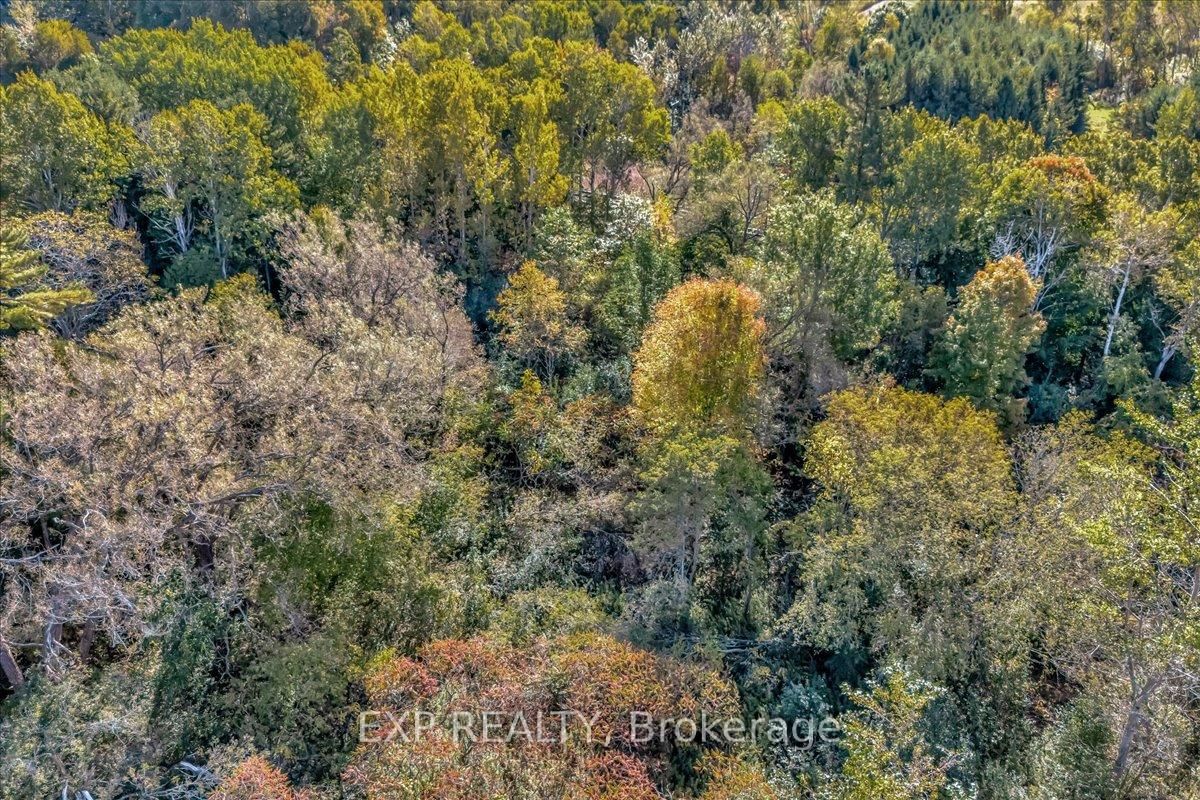 0 County Road 2 Road • Cramahe, ON photo 9