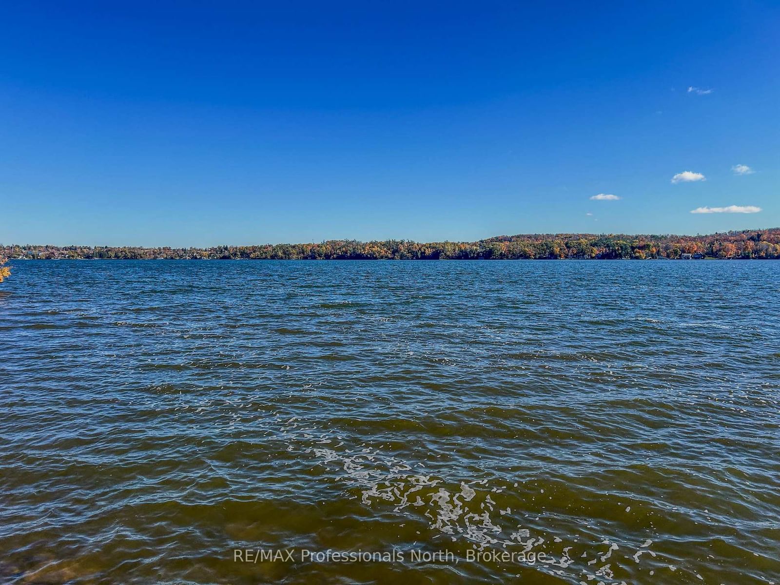 563 Dalhaven Road • Selwyn, ON photo 33
