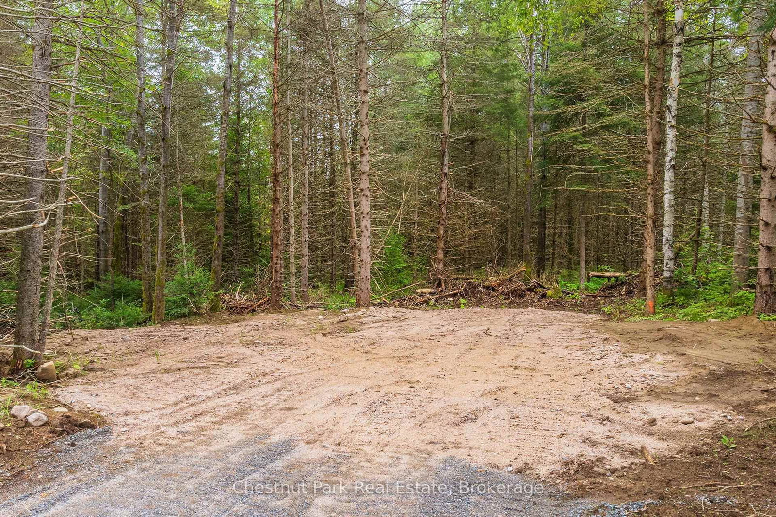 00 Gibbons Road • Strong, ON photo 38