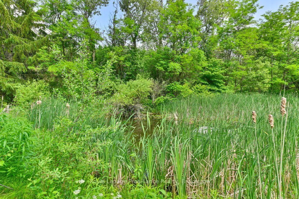 2014 Foxboro-Stirling Road • Stirling, ON photo 32