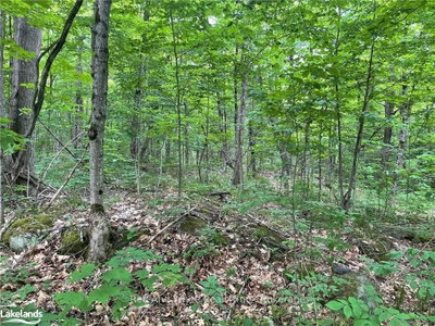 23 AHMIC LAKE Road • Magnetawan, ON photo 3