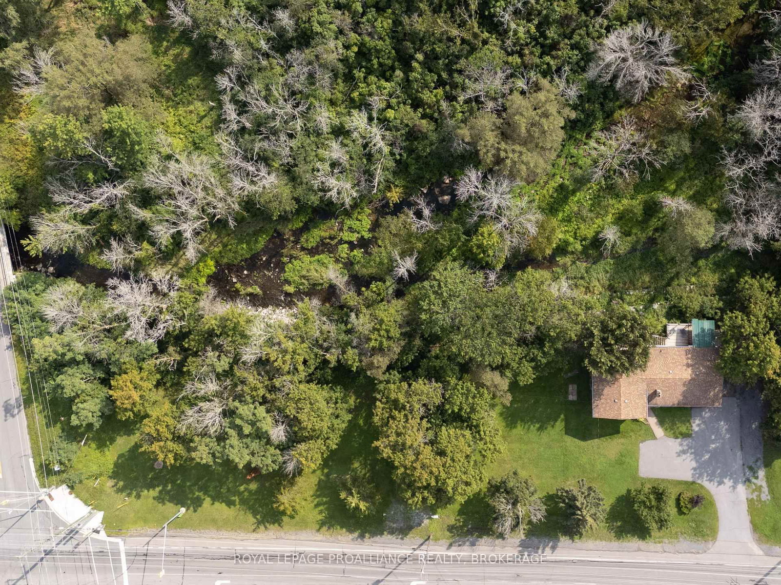 3519 Princess Street • Kingston, ON photo 44