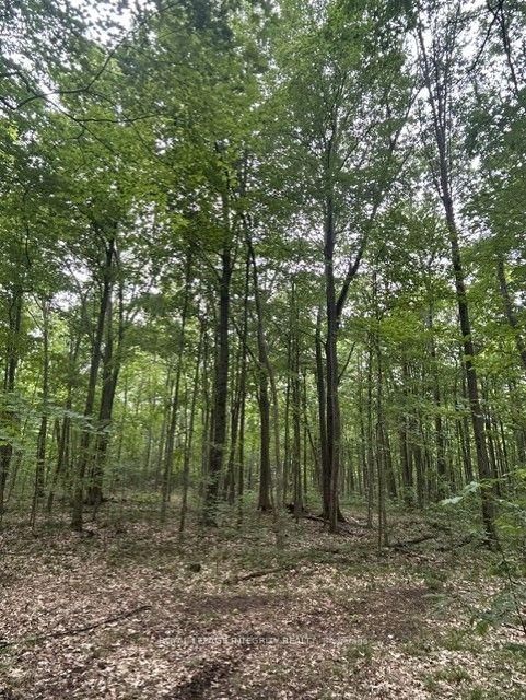 0 Armstrong Road • Merrickville-Wolford, ON photo 18
