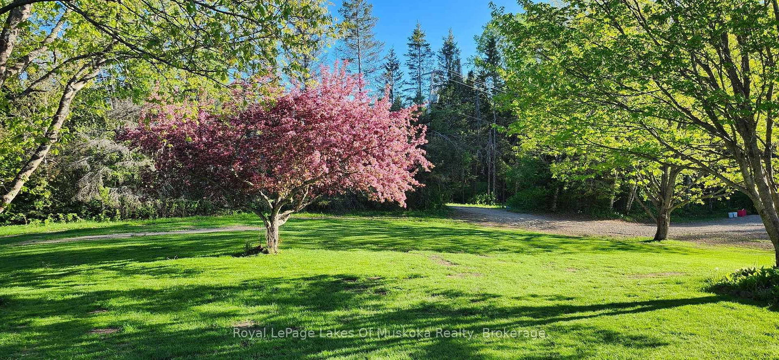341 Woods Road • Armour, ON photo 4