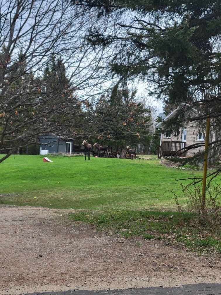 341 Woods Road • Armour, ON photo 49