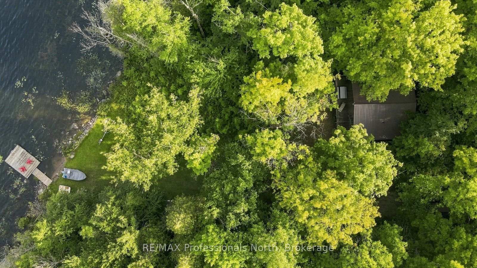 1009 Spencers Trail • Highlands East, ON photo 37