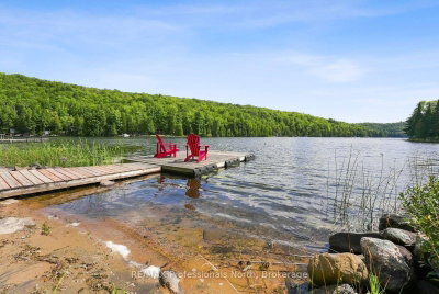 1009 Spencers Trail • Highlands East, ON photo 4