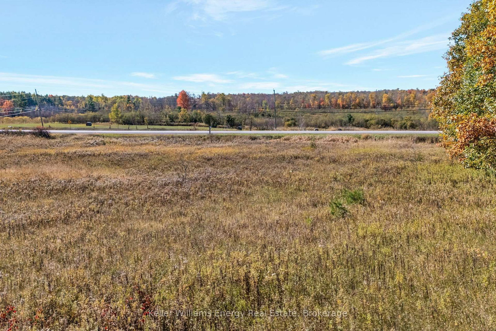 14794 Highway 62 Highway • Madoc, ON photo 11