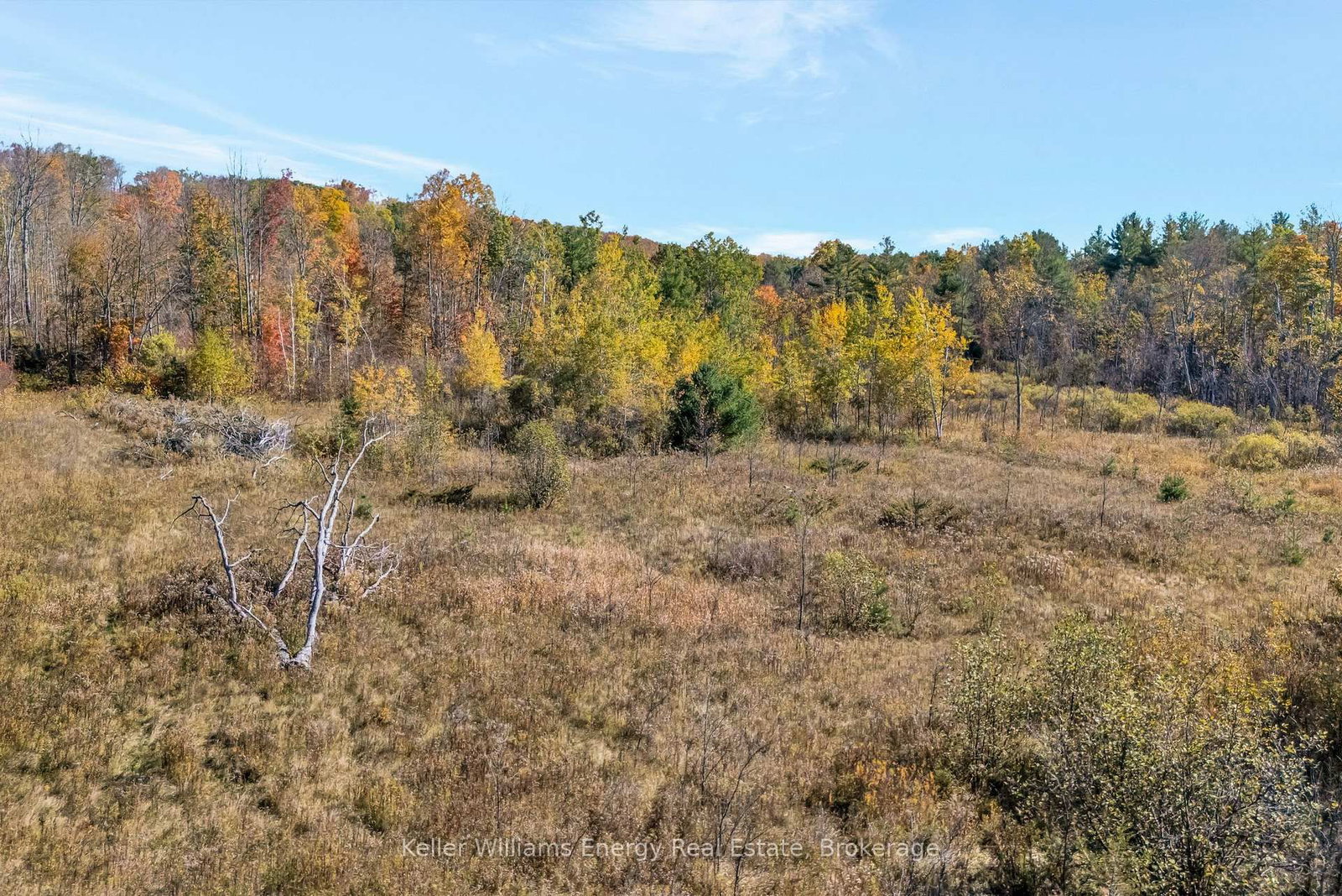 14794 Highway 62 Highway • Madoc, ON photo 12