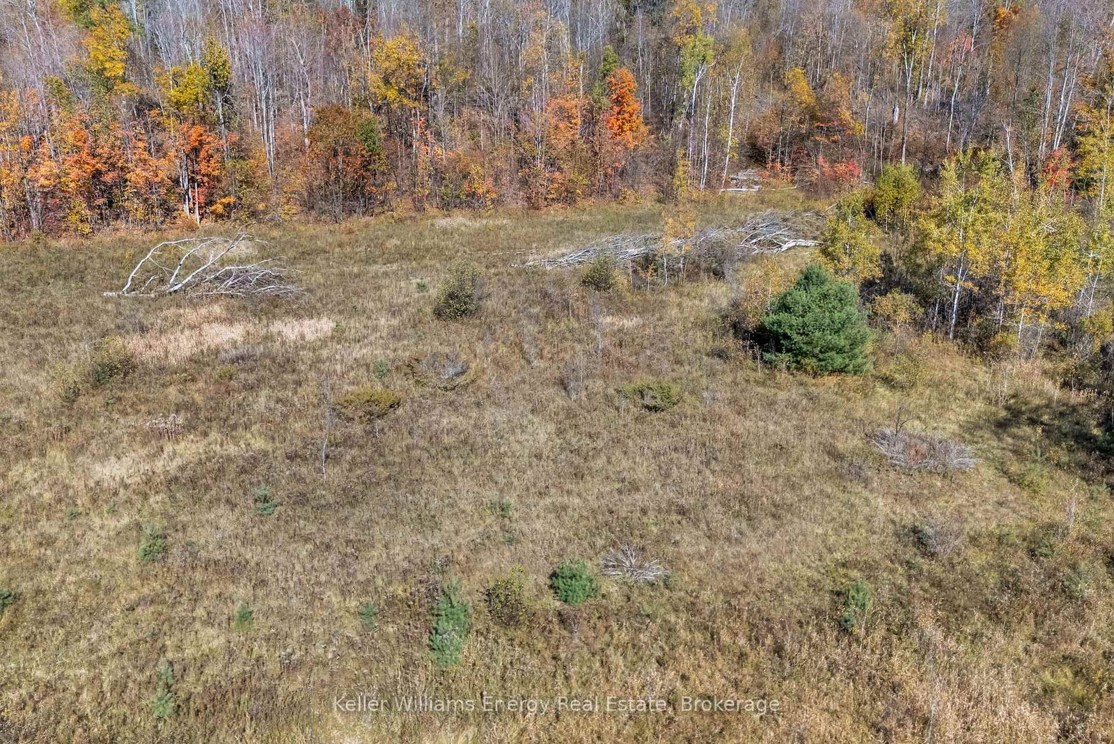 14794 Highway 62 Highway • Madoc, ON photo 13