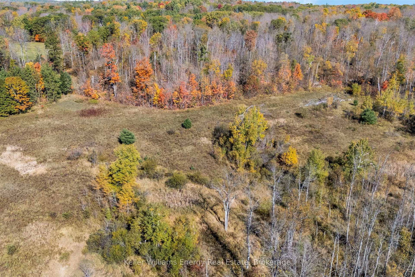 14794 Highway 62 Highway • Madoc, ON photo 15