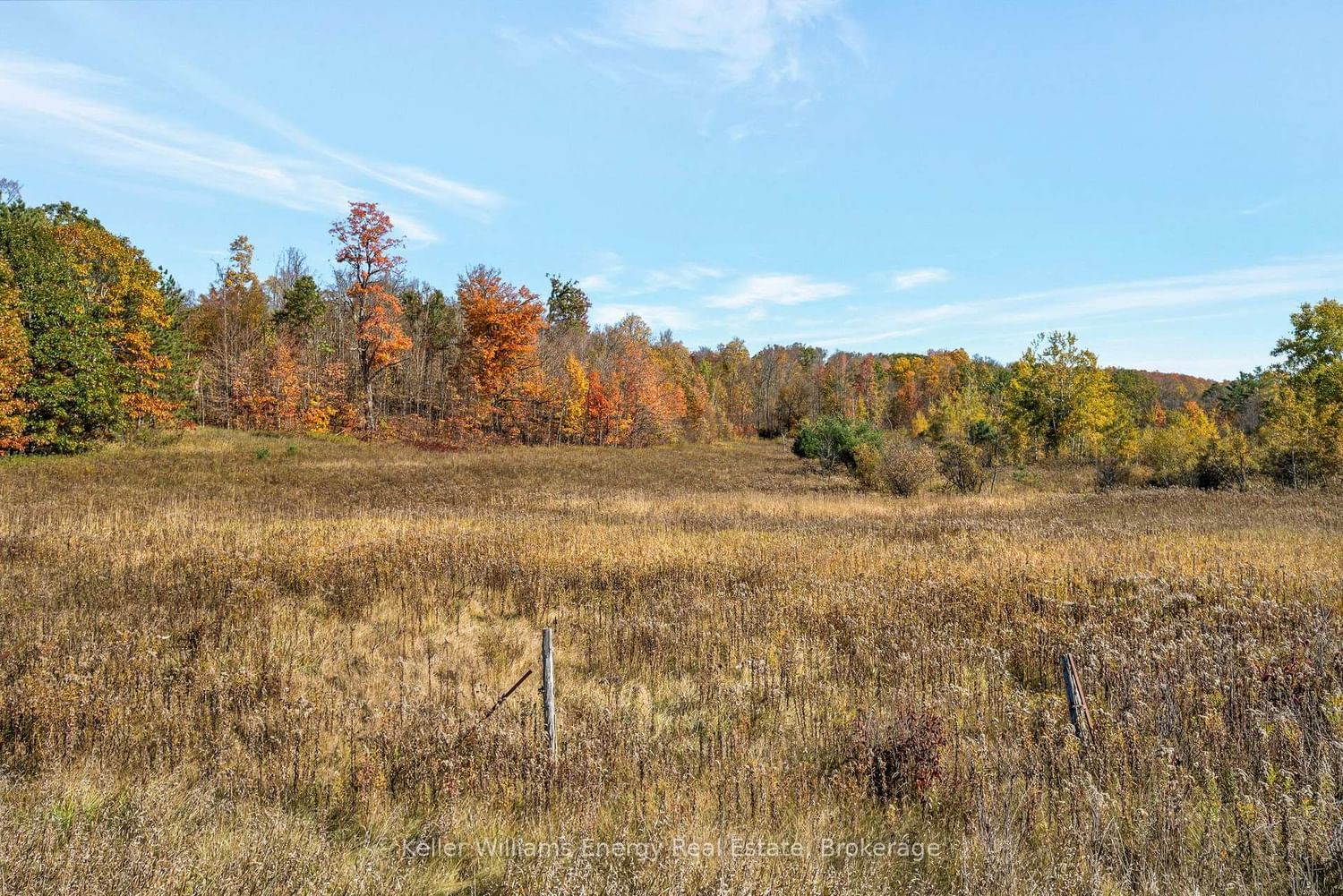 14794 Highway 62 Highway • Madoc, ON photo 19