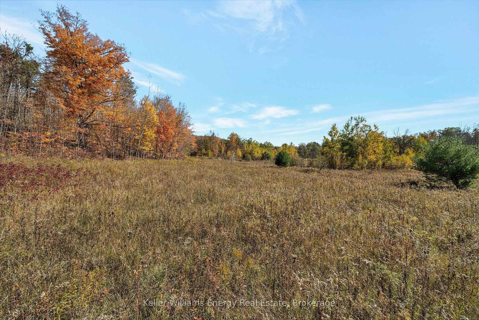 14794 Highway 62 Highway • Madoc, ON photo 23