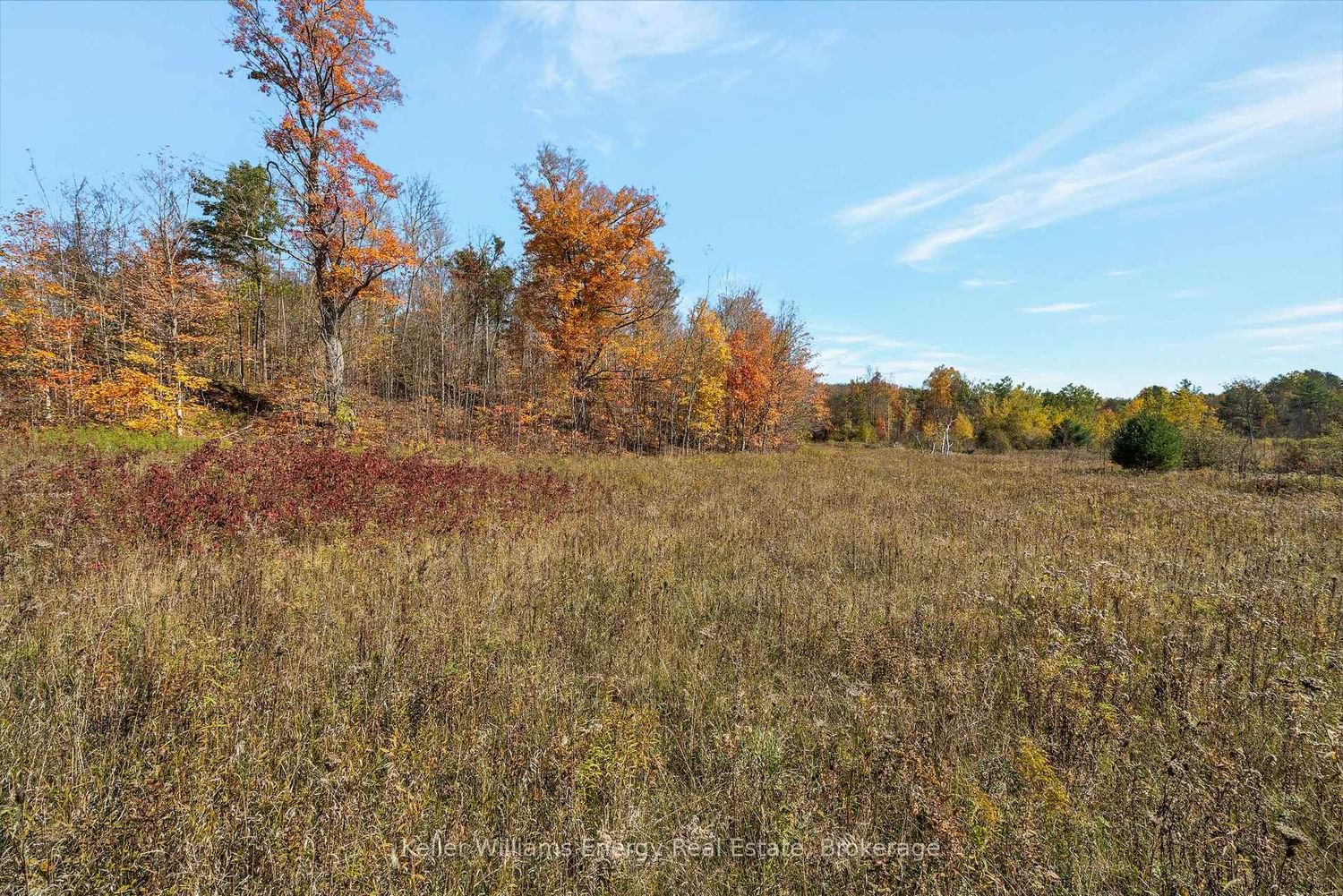 14794 Highway 62 Highway • Madoc, ON photo 24