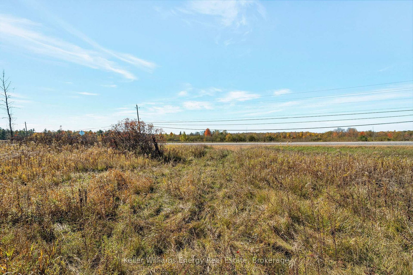 14794 Highway 62 Highway • Madoc, ON photo 25